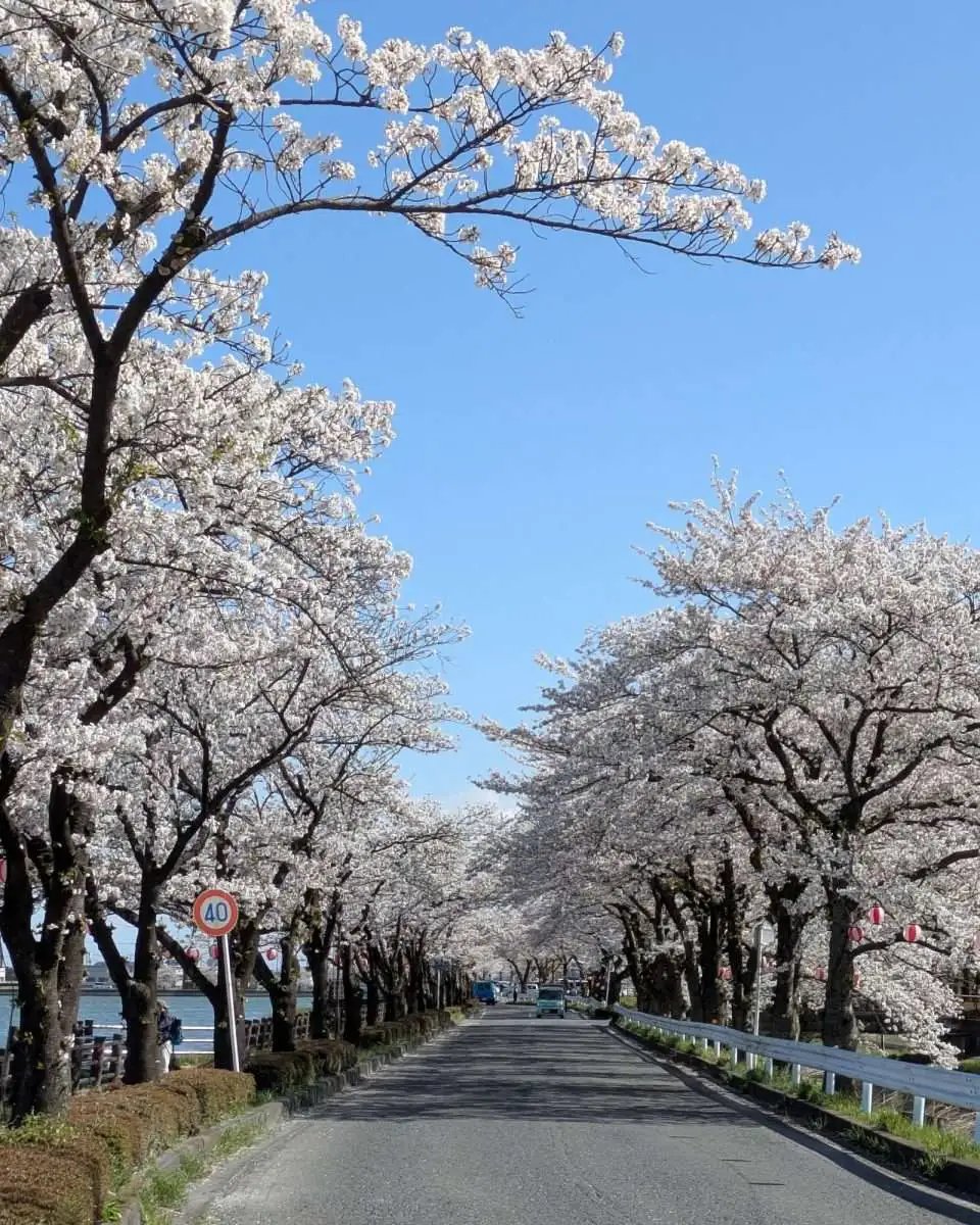🏞️ 이누마 공원(이사누마 코엔) 이미지 6